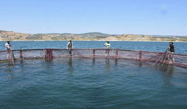Çorum'un yanı başında! Çocukken top oynadıkları çayıra baraj yapıldı, şimdi dünyaya somon satıyor