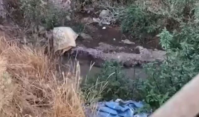 Çorum'da 4 mahalle alarmda: Kötü koku, sel ve sinek şikâyetleri büyüyor