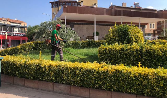 Osmancık’ta parklar yenileniyor: Çim biçme ve bakım çalışmaları hızlandı