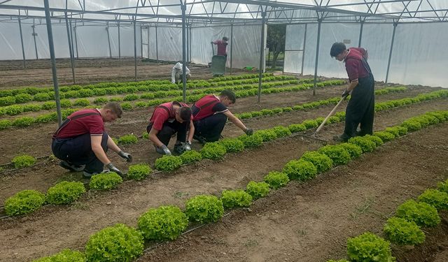 Gençler için yeni gelecek kapısı: Tarım Meslek Lisesi öğrenci alımına başladı