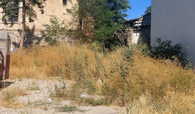 Vatandaşlardan Belediye’ye çağrı! Kuruyan otlar yangın tehlikesi saçıyor