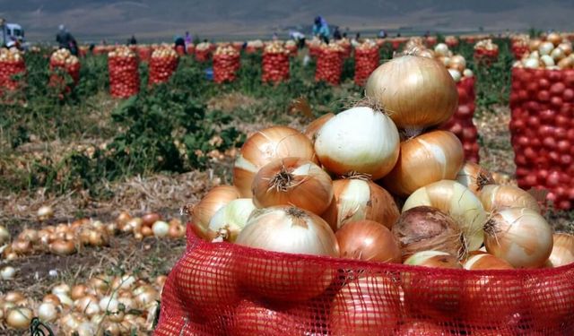 Fiyatlar uçuşa geçmişti: Kuru soğan ithalatında vergi indirimi resmileşti