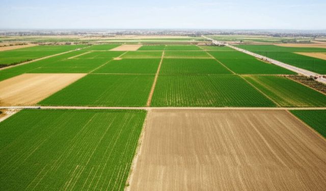 Tapu davalarında yeni dönem: Yargıtay fiili taksim için son sözü söyledi