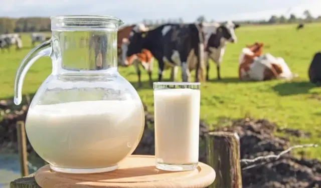 Ticari süt işletmeleri mayısta 1 milyon 22 bin ton inek sütü topladı