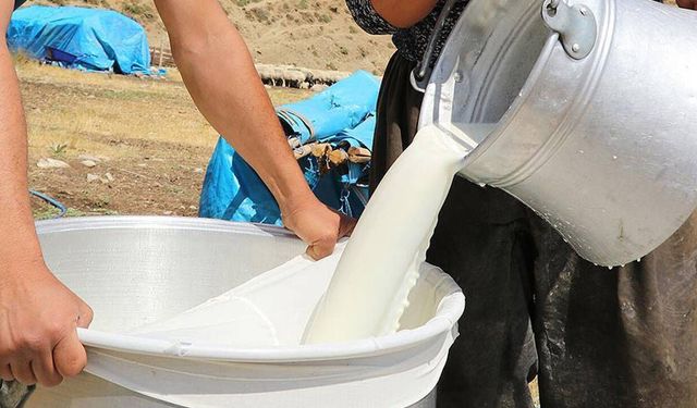 Yem fiyatları uçtu, süt maliyeti fırladı: TÜSEDAD son rakamları açıkladı