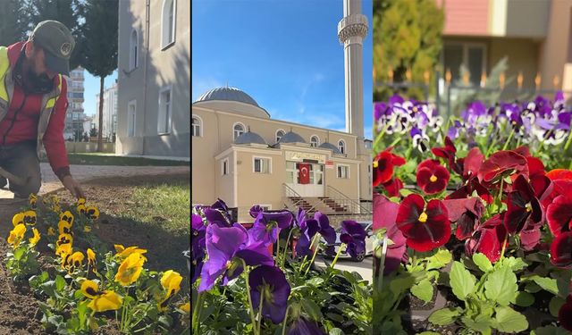 Çorum’da cami bahçeleri çiçeklerle donatıldı