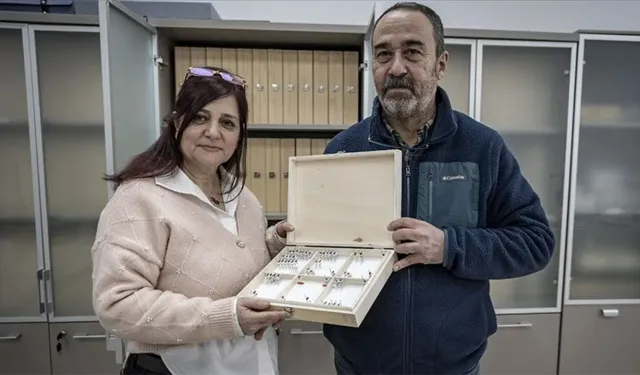 Erzurum ve Hakkari’de bulundu: Bilim dünyası bu böcekleri konuşuyor