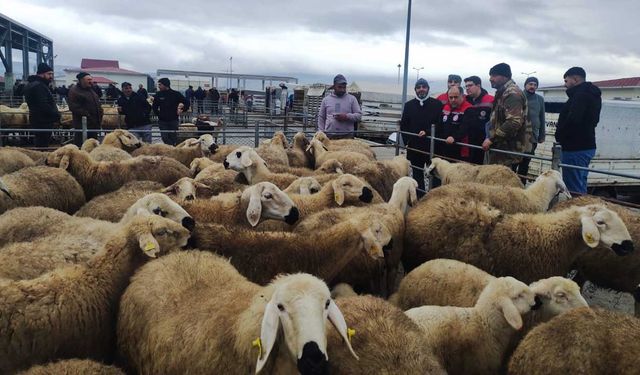 Çorum'da hayvan pazarları denetlendi