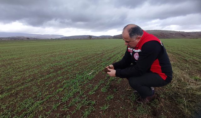 Harmancık’ta Hayvancılık Projesi yerinde incelendi