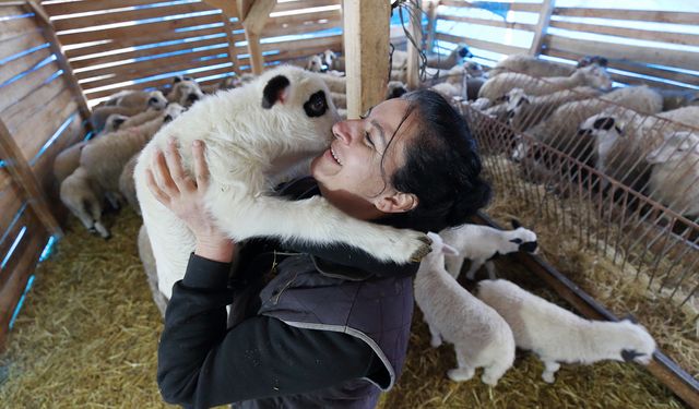 Doğum günü hediyesi hayatını değiştirdi: Köye yerleşti