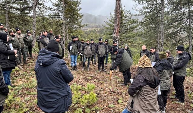 Osmancık’ta silvikültürel uygulama eğitimi düzenlendi
