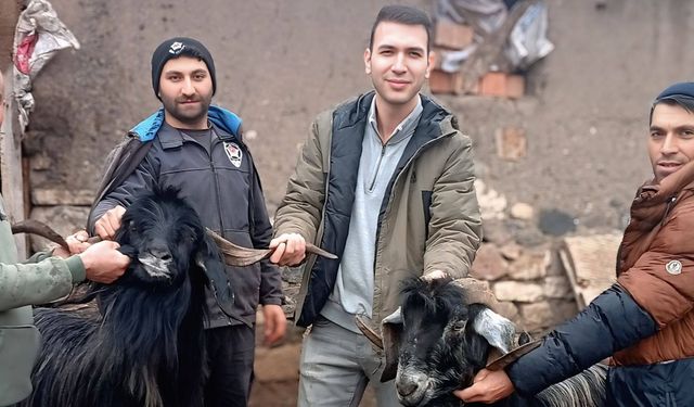 Kaymakam Düzgün’den yaylalarda hayvancılık denetimi