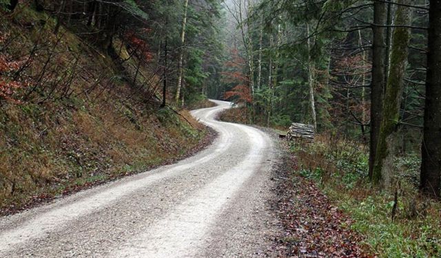 Çorum’da Ormanlık Alanlara Girişler Yasaklandı