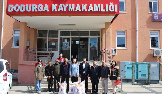Dodurga’da çiftçilere nohut tohumu desteği