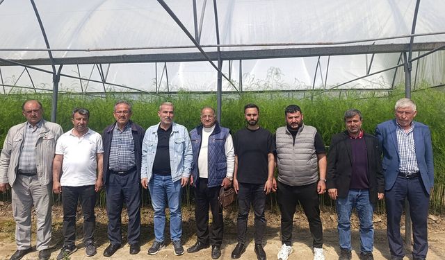 410 metrekarelik alanda üretiliyor: Yeni gelir modeli dikkat çekiyor