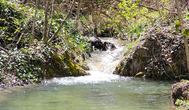 Çorum'da bu eşsiz şelale keşfedilmeyi bekliyor