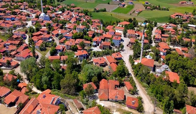 4 köyde 6 hazine arazisi satışa çıkarıldı: İhalesi yapılacak