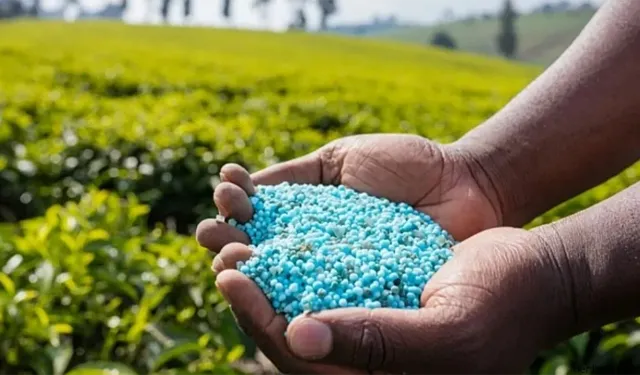 Çiftçinin beklediği haber geldi: Gübrede gümrük vergisi sıfırlandı