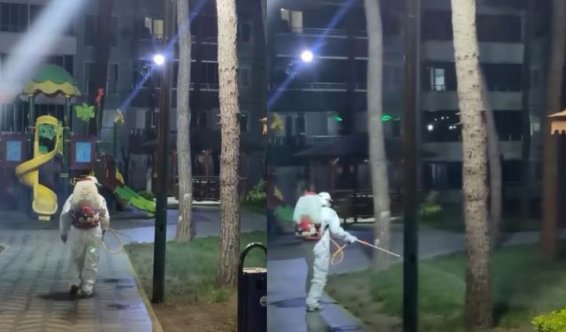 Gemici Tabiat Parkı’nda ilaçlama çalışması yapıldı