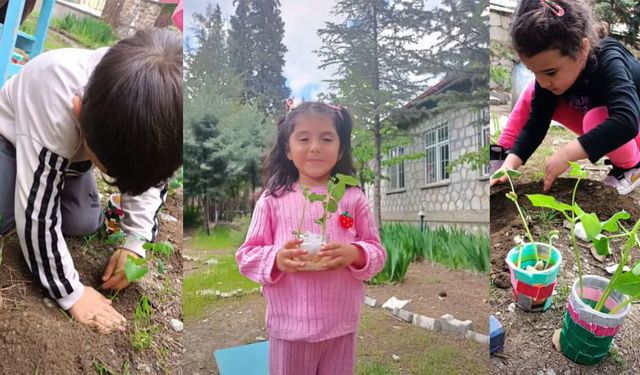 Minik öğrenciler fasulye dikerek doğayı öğrendi
