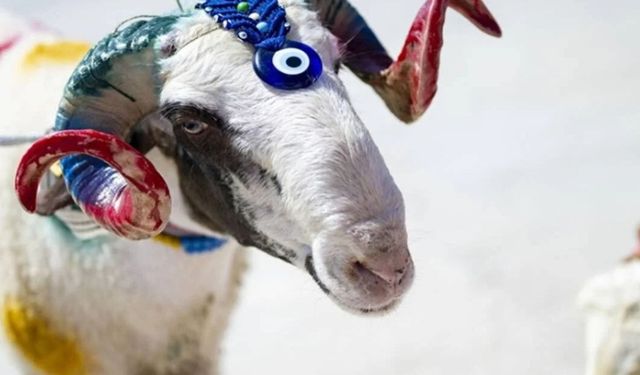 Çorum’da kurban bağışına destek çağrısı