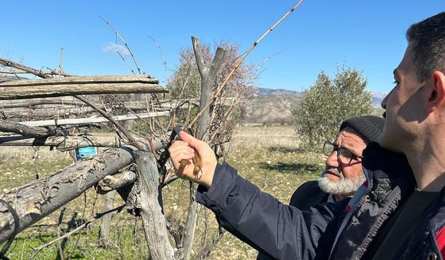 Laçin’de üreticiye tarım desteği