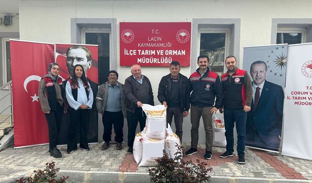 Laçin’de TAKE Projesi kapsamında nohut tohumu dağıtıldı