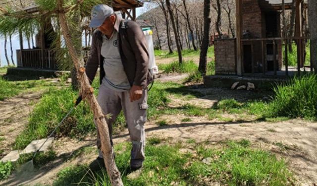 Laçin’de mesire alanında ilaçlama çalışması
