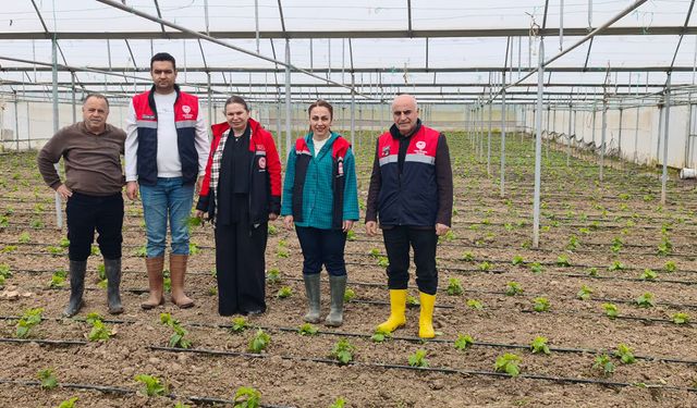 Mecitözü’nde kadın kooperatifi ve sera alanına ziyaret
