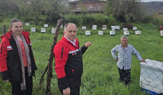 Çorum’da tarım arazilerinde hasar tespiti yapıldı