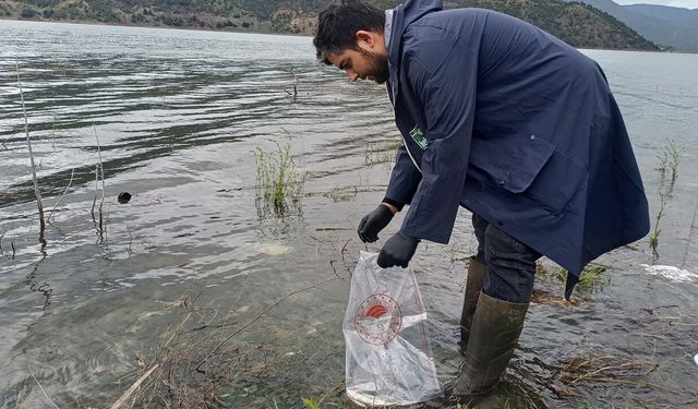 Boyabat Baraj Gölü’nde su ürünleri denetimi yapıldı