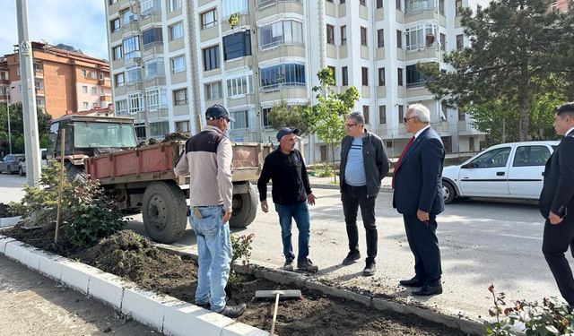 İskilip’te peyzaj ve refüj düzenleme çalışmaları sürüyor