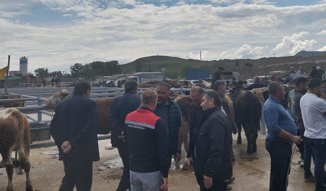 Sungurlu hayvan pazarında Kurban Bayramı denetimi