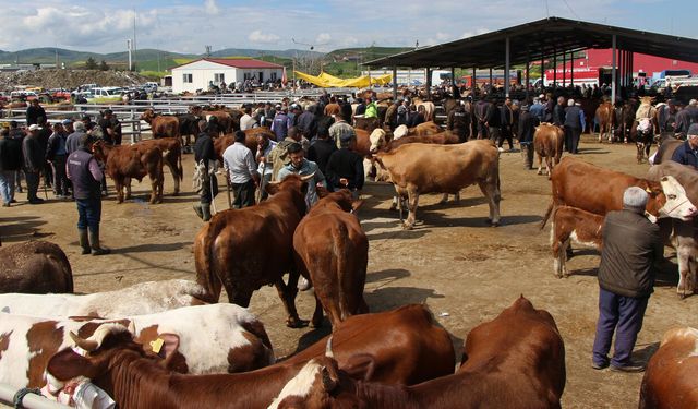 Sungurlu’da kurban pazarında hareketlilik başladı