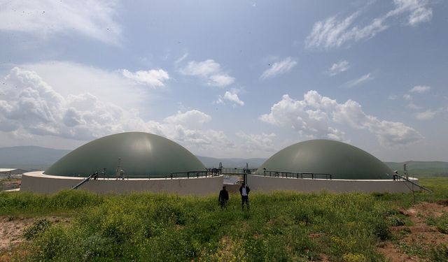 Çorum'da hayvan atıkları elektrik enerjisi ve gübreye dönüşüyor