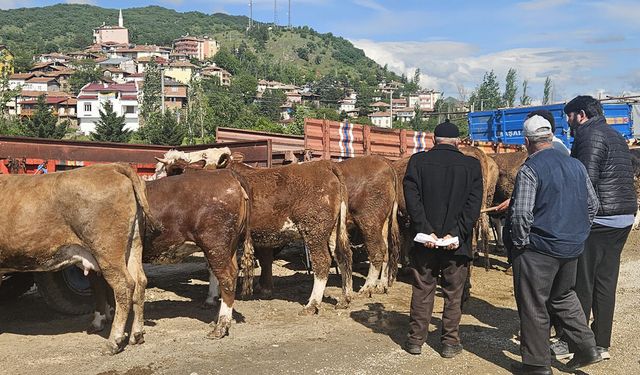 Bayrama sayılı günler kala Bayat'ta hayvan pazarı açıldı