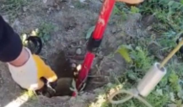 Çorum’da gider borusundan kurtarılan yavru kaz koruma altına alındı
