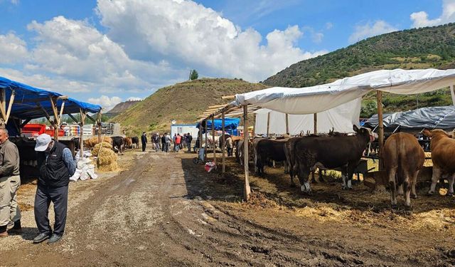 Bayat Hayvan Pazarı hizmete açıldı
