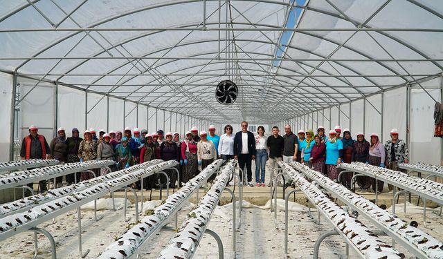 Çorum'a dev sera yatırımı: Hedef Avrupa pazarı