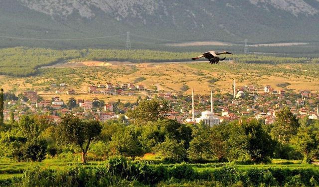 Fotoğraflarla Kargı: Her karesi ayrı bir güzellik