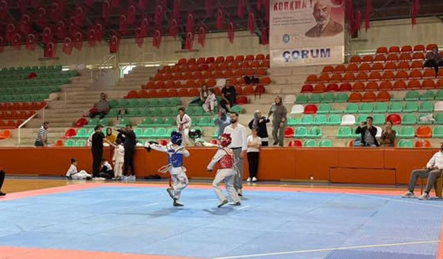 Taekwondo İl Birinciliği müsabakalarında heyecan başladı