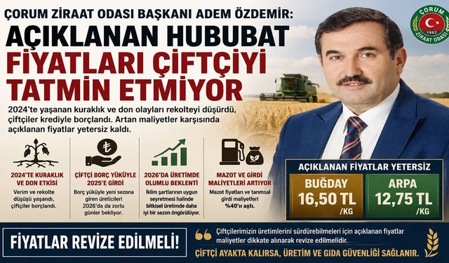 Hububat alım fiyatları beklentilerin altında kaldı