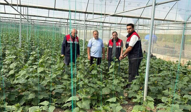 Mecitözü'nde tarımsal üretim sahada takip ediliyor