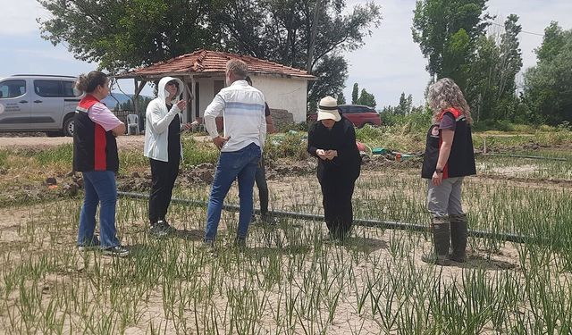 Beyaz çürüklük hastalığı arazide incelendi