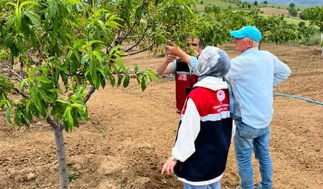 Çiftçinin nabzı tarlada tutuluyor: Kontroller başladı