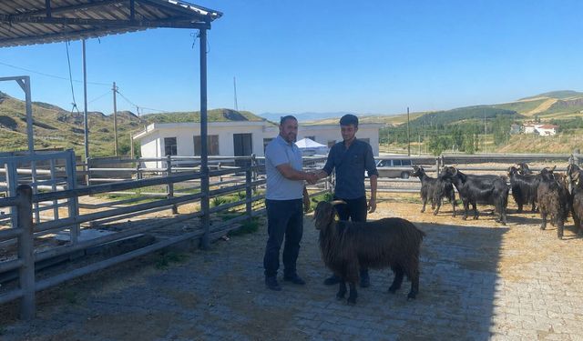 Üretici ve vatandaşlar her Salı Hayvan Pazarı'nda buluşuyor