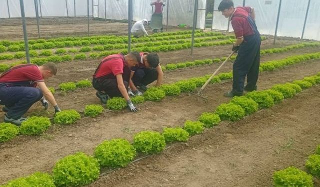 Osmancık Tarım Lisesi ilk mezunlarını verdi