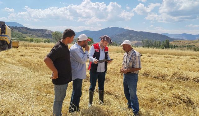 Hasat sürüyor! Laçin’de biçerdöverler tek tek denetlendi