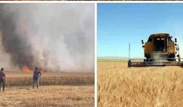Ziraat Odası’ndan hasat dönemi uyarısı