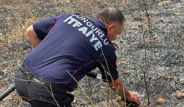 Çorum'da arazi yangını: İtfaiye anında müdahale etti